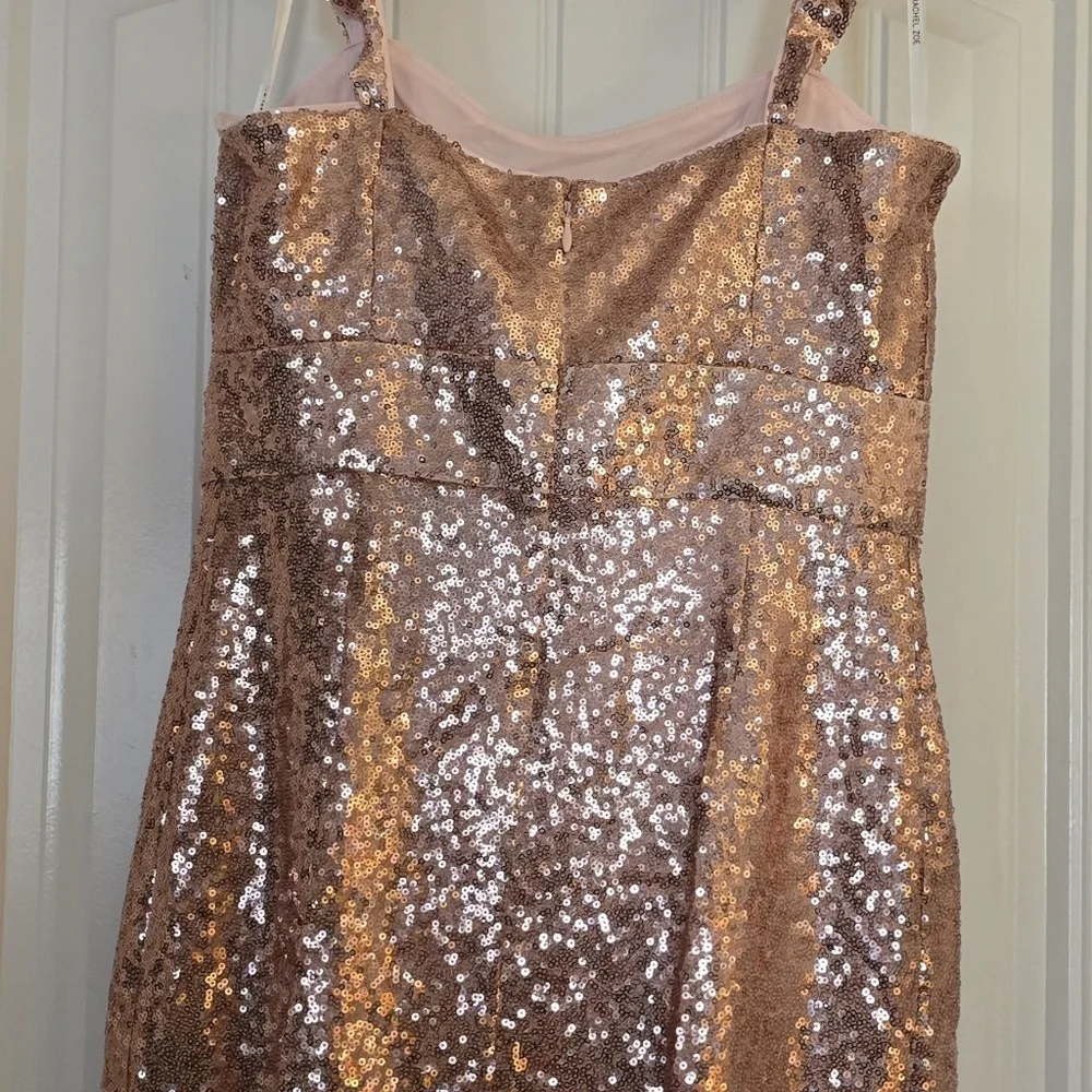 Rachel Zoe Pink Sequin Dress NWOT